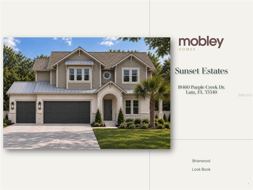 18460 Purple Creek Lane, new construction home for sale in Lutz, FL