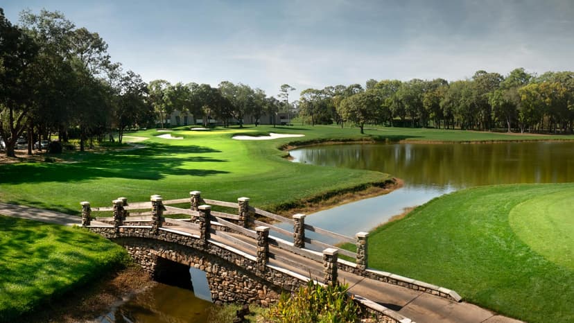 Montrose at Innisbrook new construction community