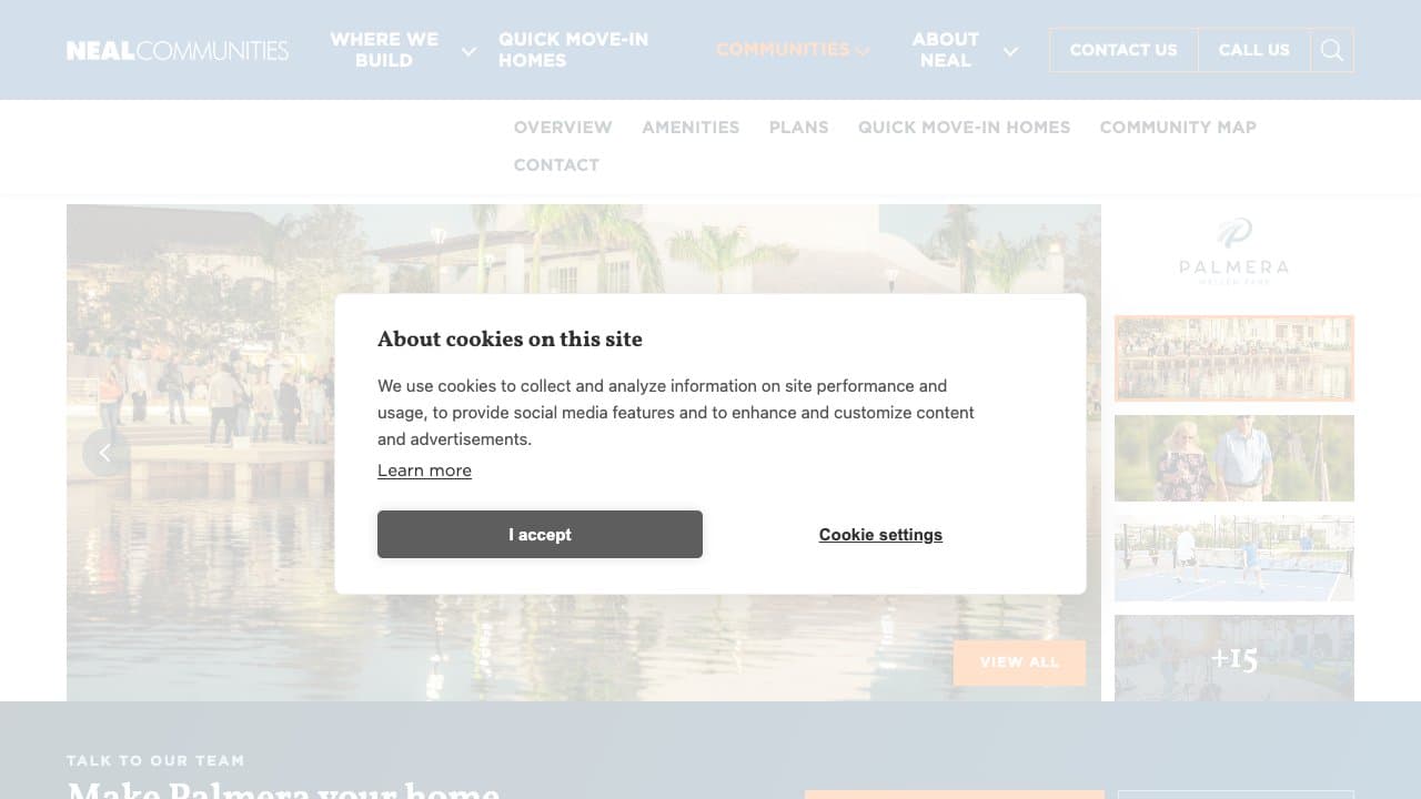 Palmera new construction in Venice